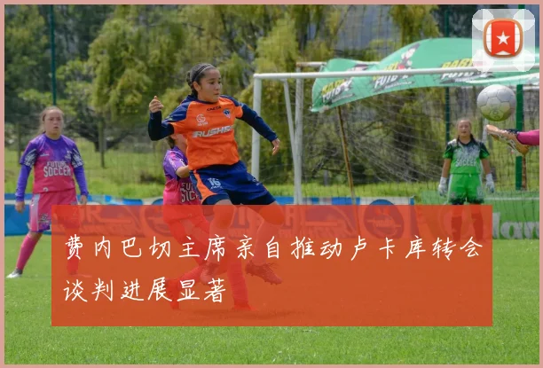 费内巴切主席亲自推动卢卡库转会谈判进展显著