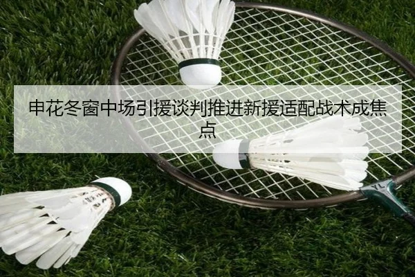 申花冬窗中场引援谈判推进新援适配战术成焦点
